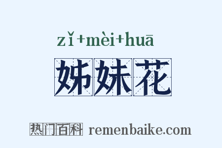 姊妹花是什么意思的图片